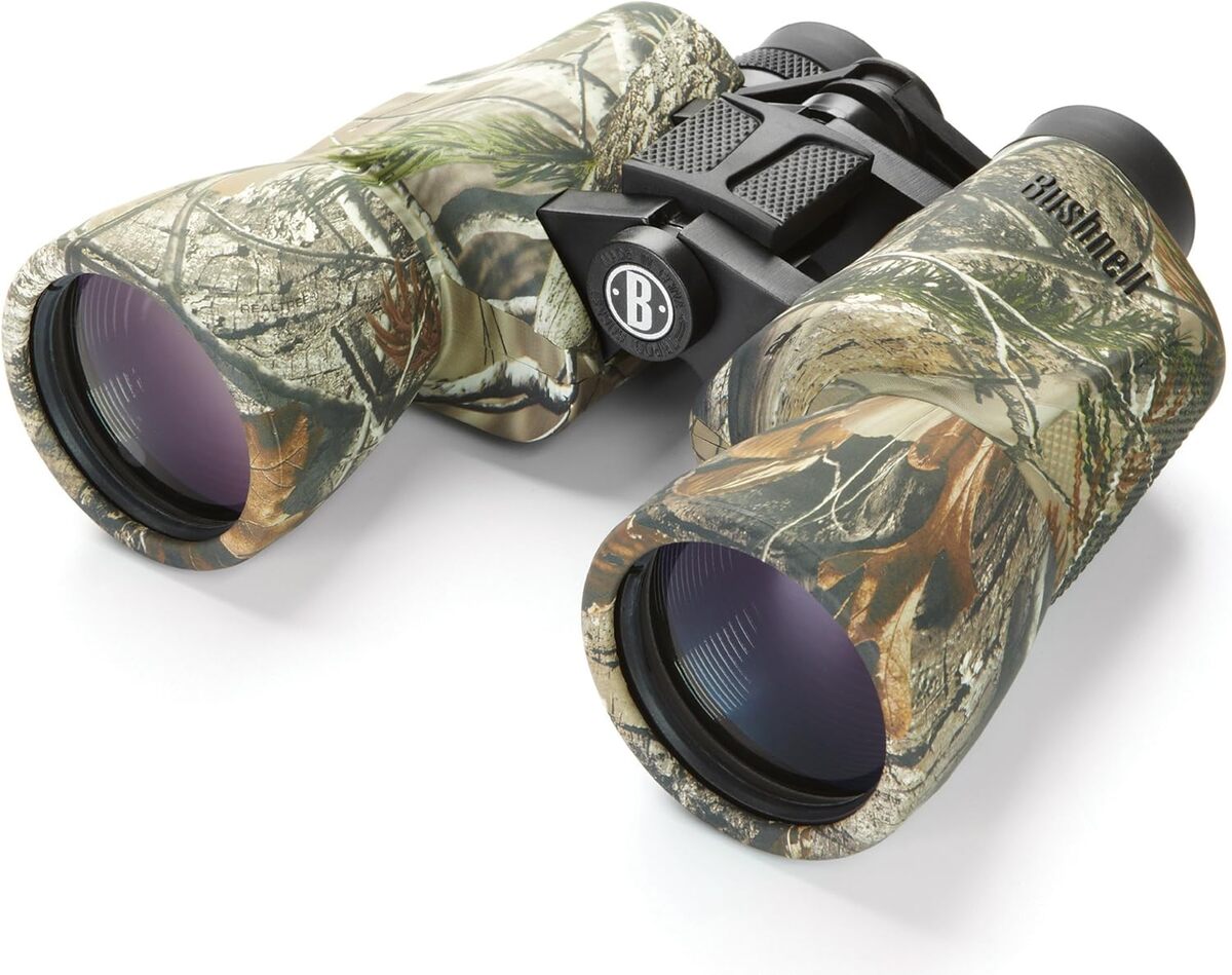 Bushnell 10x50 Powerview: le Test des Jumelles