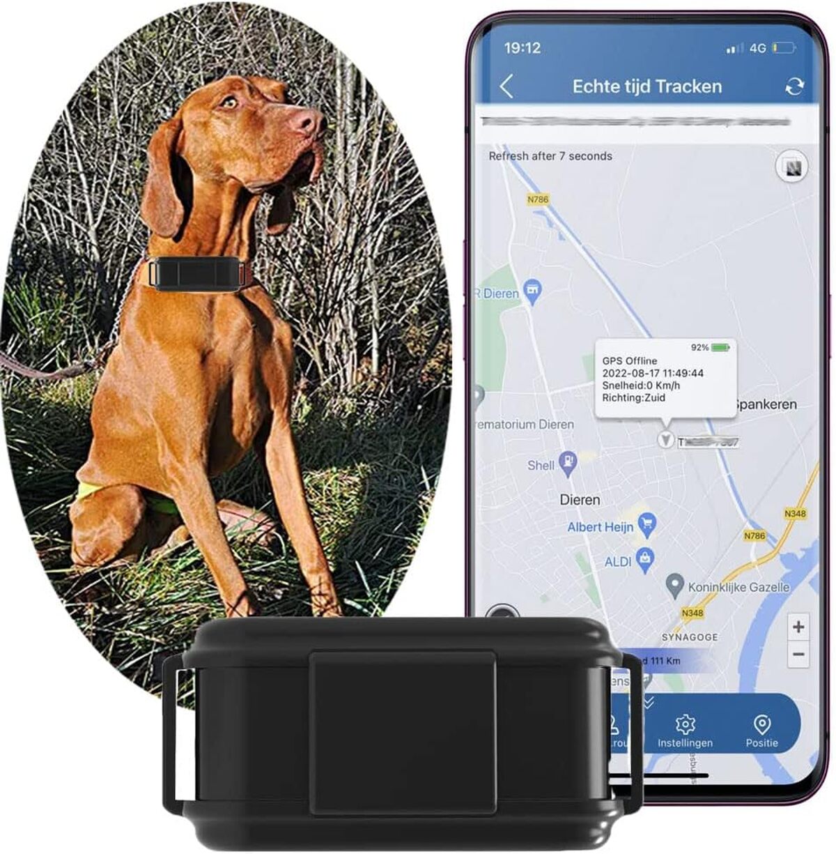 Test du TK919-4G : le collier GPS qui révolutionne la traque canine