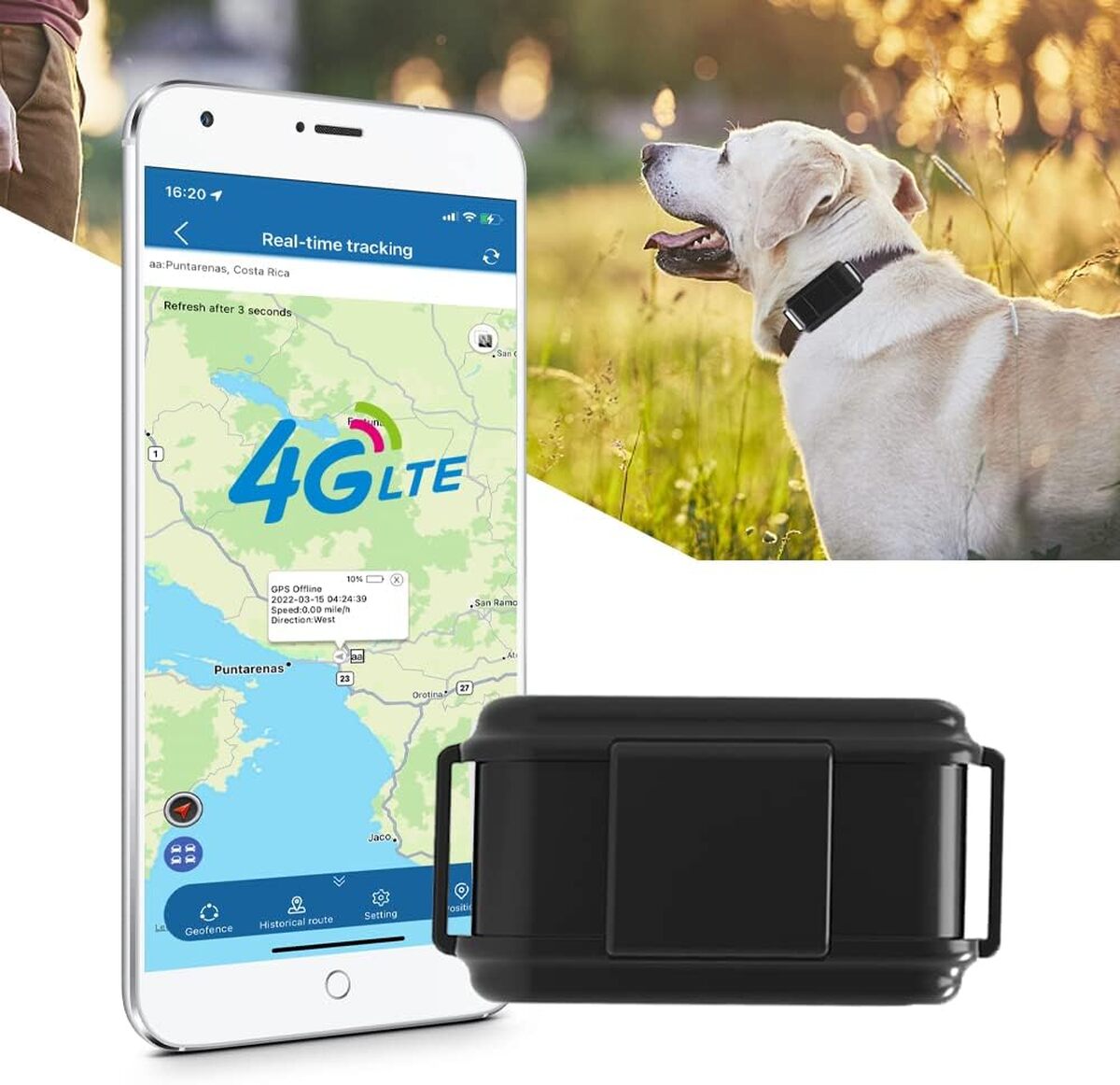Test TK919Pro : le collier GPS pour chiens de chasse à l'épreuve
