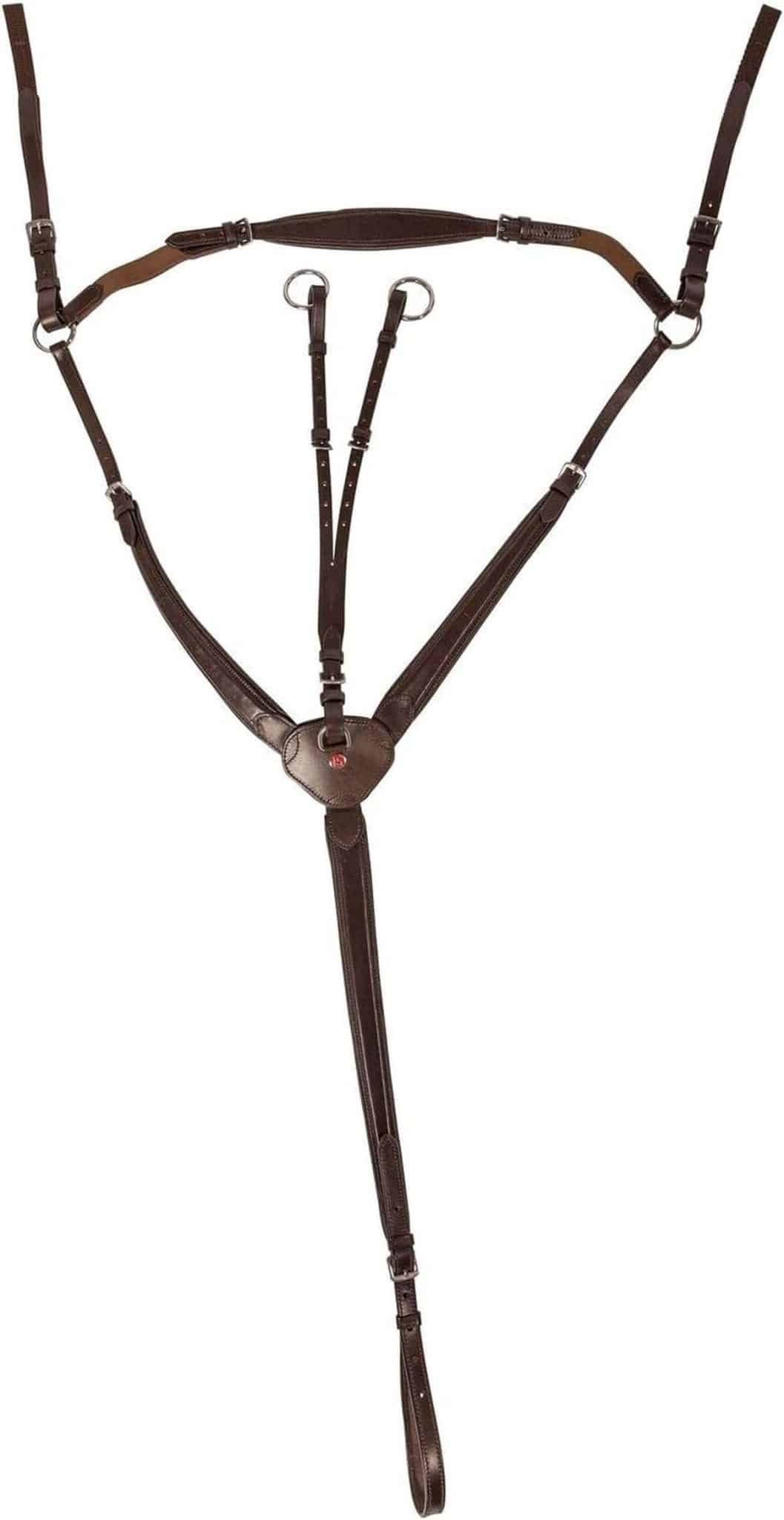 Avis sur le collier de chasse Kieffer Profi