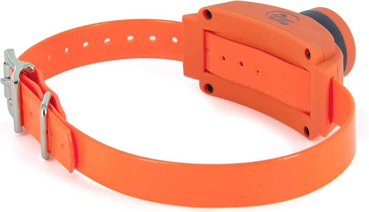 Test : collier SportDOG pour chien, repérage et dressage
