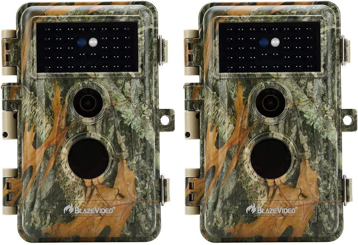 Test : caméra de chasse Blazevideo 24MP, vision nocturne et étanchéité IP66