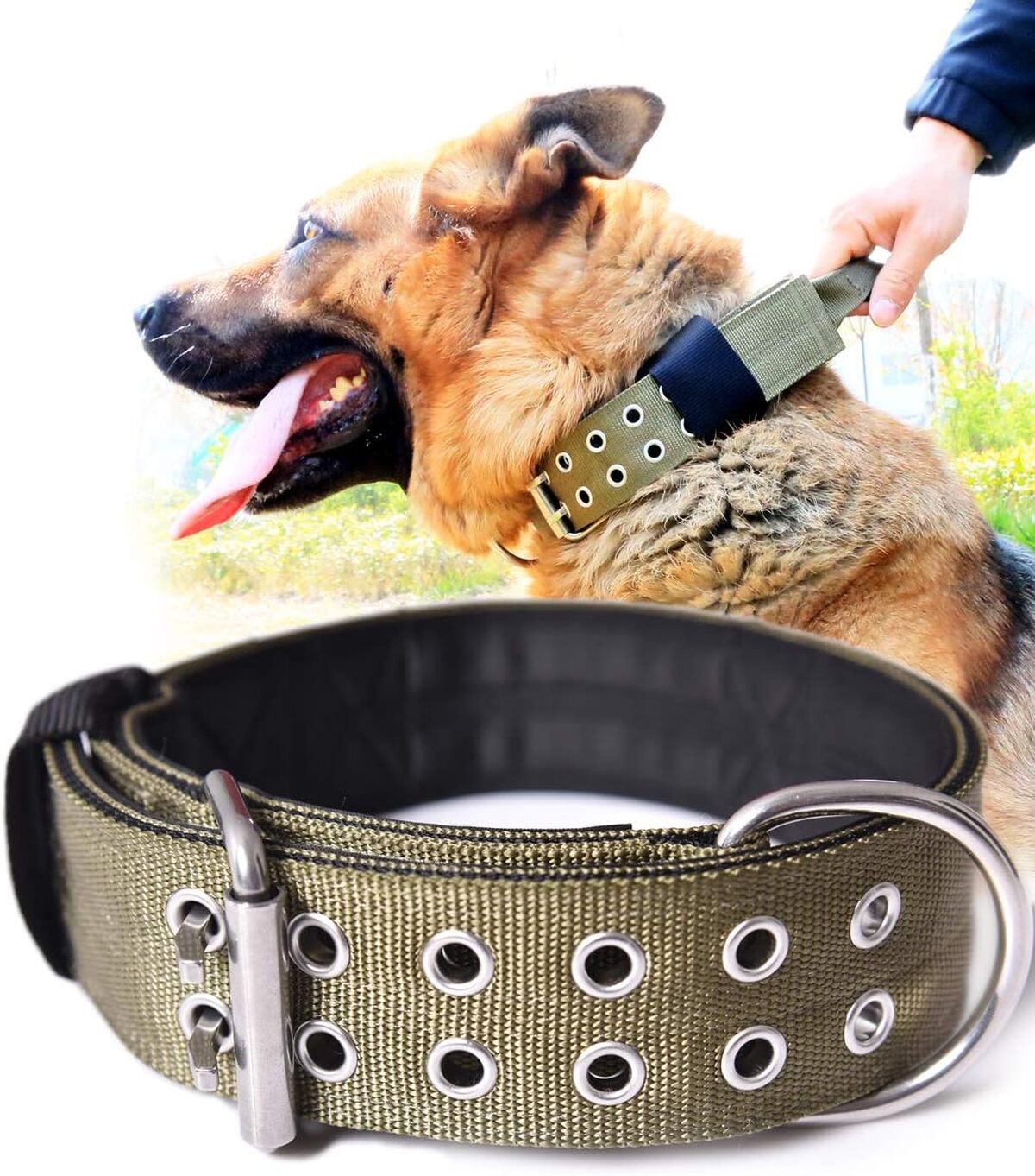 Avis sur le collier tactique militaire pour chiens de grande taille