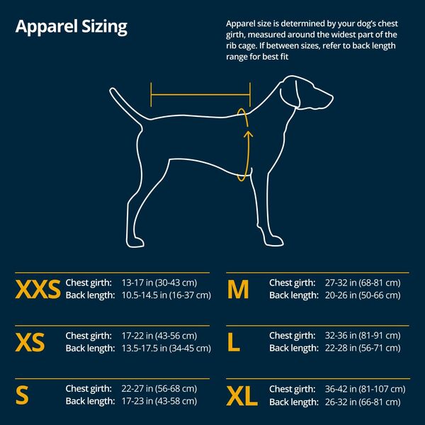 RUFFWEAR Powder Hound Veste isolée pour Chien, étanche, pour Temps Froid avec Doublure en Polaire, Manteau d'hiver de qualité supérieure pour Chiens, Aurora Teal, Taille L