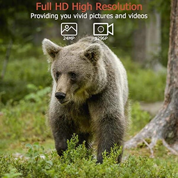 Découvrez notre évaluation complète des caméras de chasse Folgtek 32MP 1296P et explorez leurs performances nocturnes exceptionnelles et fonctions avancées pour une expérience de chasse améliorée.