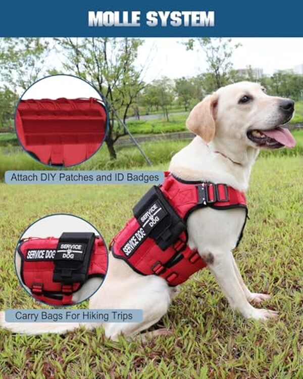 Découvrez notre test détaillé du gilet tactique rouge PETNANNY taille XL : un harnais idéal pour chien d'assistance alliant confort et efficacité anti-traction.
