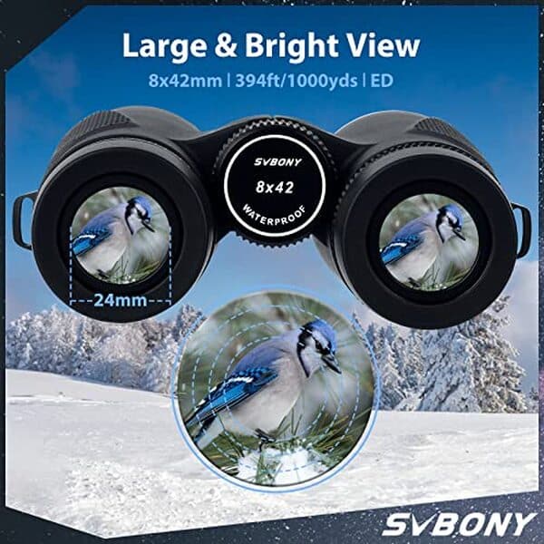 Découvrez les performances des jumelles Svbony SV202 8x42 pour une observation optimale. Comparatif, avis et recommandations pour choisir votre paire idéale.