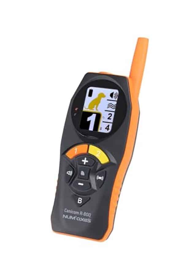 Découvrez notre analyse approfondie du dispositif de dressage canicom R-800 rechargeable : caractéristiques, efficacité et avis des utilisateurs pour un dressage réussi de votre chien.