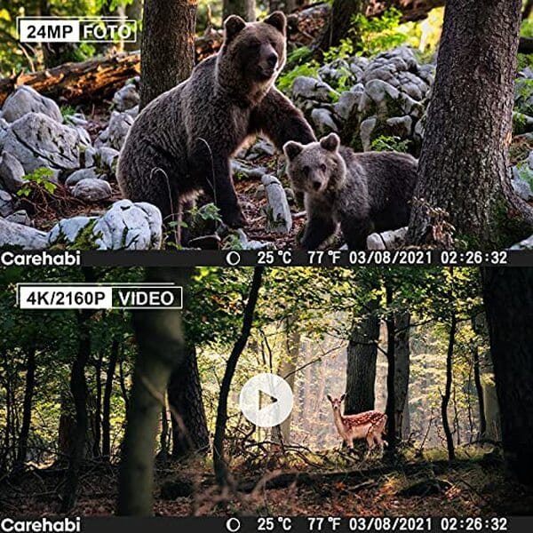 Découvrez notre évaluation détaillée de la caméra de chasse Carehabi 4K 24 MP : qualité d'image exceptionnelle, vision nocturne avancée et robustesse avec étanchéité IP67.
