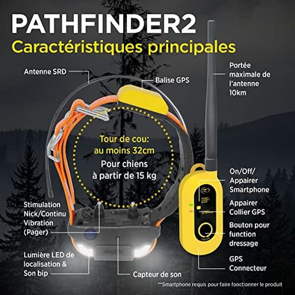 Découvrez le test complet du collier GPS Dogtra Pathfinder 2 : performance, étanchéité, fonctionnalités avancées et évolutives pour suivre efficacement votre chien en toutes circonstances
