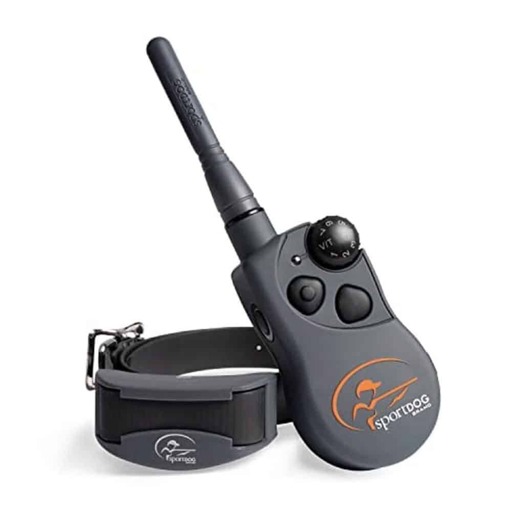 Test du collier de dressage sportDOG SportTrainer : télécommande submersible et 21 niveaux de stimulation