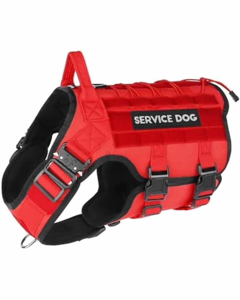 Test du gilet tactique rouge PETNANNY pour chien d'assistance : harnais anti-traction taille XL