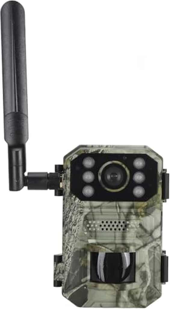 Test du photopiège 4G AntDau71® CW984 : performance et autonomie solaire