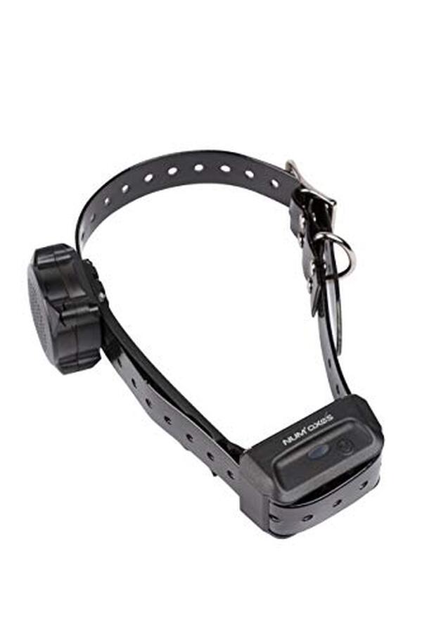 Découvrez notre test du canicom voice 200, un collier de dressage innovant et intelligent pour une éducation canine efficace et sans stress.