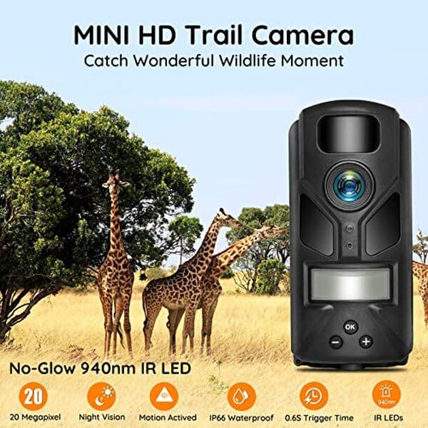 Découvrez notre test de la mini caméra de chasse 20 MP avec vision nocturne 1080p: performance, autonomie et qualité d'image décryptées pour vous aider à faire le bon choix.