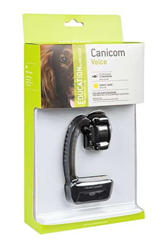 Test du num'axes canicom voice 200 : collier de dressage intelligent