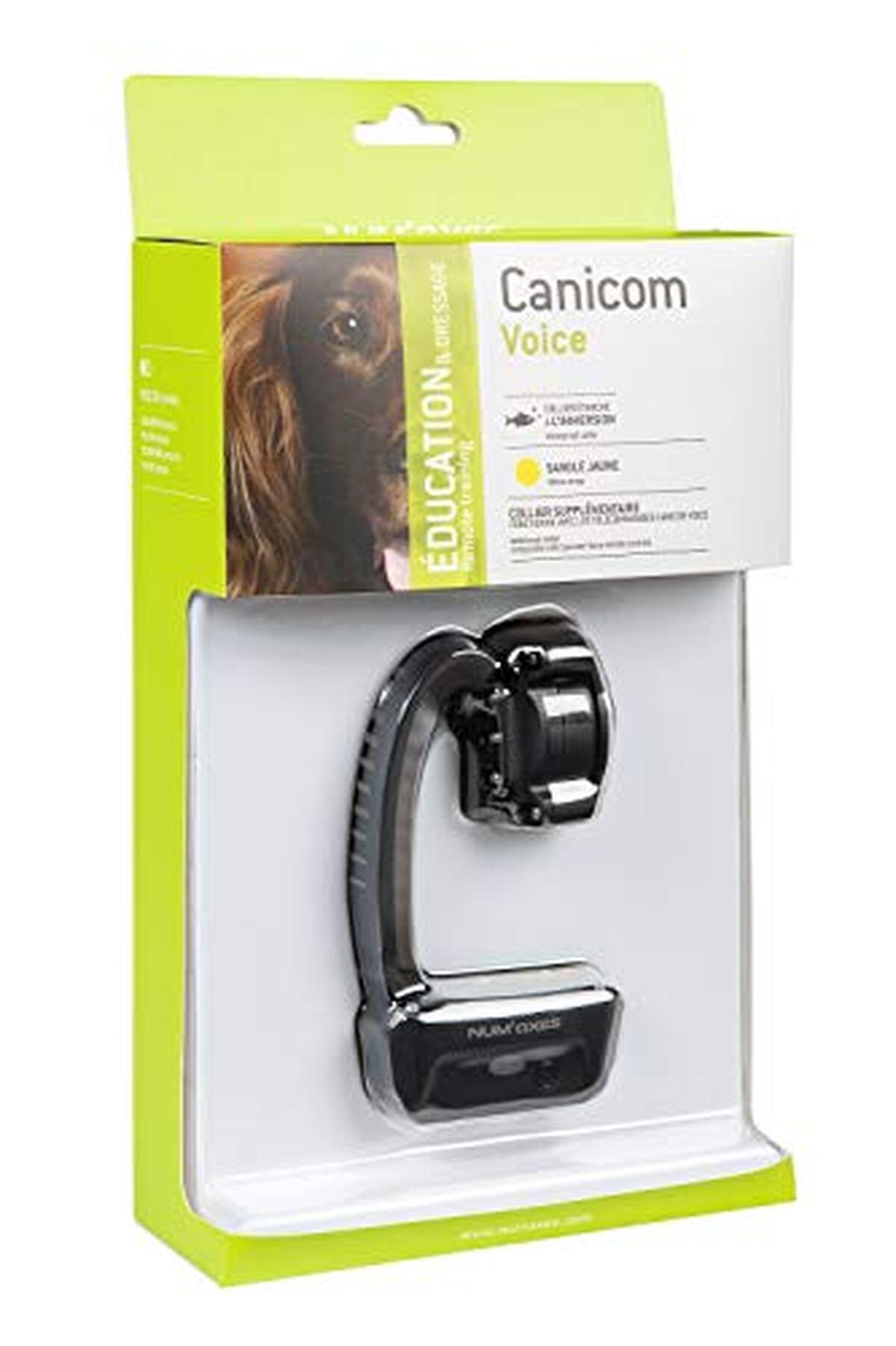 Test du num'axes canicom voice 200 : collier de dressage intelligent